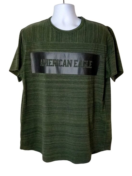 American Eagle Other - American Eagle Mens XXL Tee Active Flex Green Blue Striped Short Slv Casual Prep